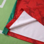 2526 season Cameroon away Fan version - Imagem 11