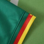 2526 season Cameroon home Fan version - Imagem 6