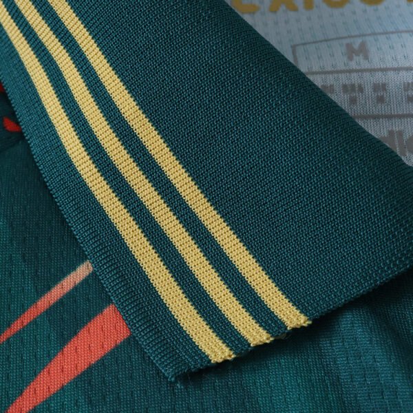 2526 season Mexico Concept version Fan version - immagine 2