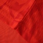 ⁦2026 FIFA World Cup Belgium home Long sleeved Player version⁩ - الصورة ⁦6⁩