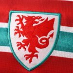 2026 FIFA World Cup Wales home Fan version - Imagem 11