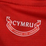 2026 FIFA World Cup Wales home Fan version - Imagem 4