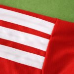 2026 FIFA World Cup Wales home Fan version - Imagem 8