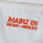 2526 season 1. FSV Mainz 05  Concept version Fan version – Image 5
