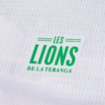 2026 season Senegal home Fan version - Imagem 3