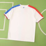 2526 season Crystal Palace F.C. third Fan version