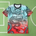 2425 season Real Madrid CF Concept version Fan version
