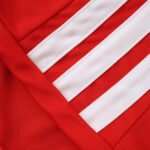 2026 FIFA World Cup Wales home Kids kit – Bild 5