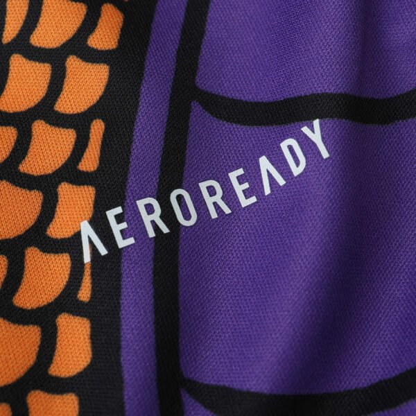 2425 season Real Madrid CF Concept version Fan version - 图片 2