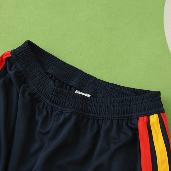 2026 FIFA World Cup Spain lake blue Half pull training suit - Billede 7